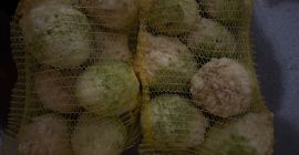 W celu uzyskania wszelkich informacji prosimy o kontakt mailowy: