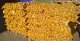 Predám zemiaky, odroda SUNITA , ručne viazané sieťove vrecia