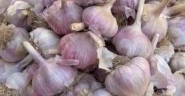 Nazywam się Nurlybek i reprezentuję firmę KZ EXPORT. Z