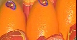 Szanowni Państwo, Jesteśmy egipską firmą handlową i outsourcingową. Nasz