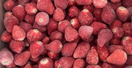 Mrożone truskawki z Kirgistanu (IQF) Nasze mrożone truskawki pochodzą