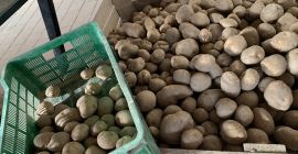 Jestem prywatnym przedsiębiorcą i prowadzę gospodarstwo rolne w Polsce