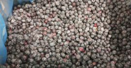 Sprzedaję 40 ton mrożonego, oczyszczonego pochodzenia zwierzęcego najwyższej jakości.