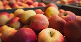 Sprzedam jabłka Idared. Pietrari, Dâmbovița. Dostępne około 5 ton.