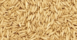 Sprzedam Owies Produkcja 2025, 35 lei/worek 3 sztuki podwójne.