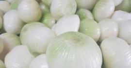 Dzień dobry Nawiąże stałą współpracę z odbiorcami cebuli obranej.W