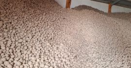 Potatoes fontane , fries and eat potatos good kwality