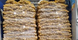 SPRZEDAM - Ziemniaki z możliwością badań FITO. Ilości Tirowe