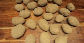 Sprzedam 500 ton ziemniaków odmiany Fontane w skrzyniach. W