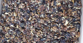 Firma z Ukrainy Poszukuje stałych odbiorców na orzech włoski