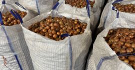 Jesteśmy austriacką firmą, która przez cały rok sprzedaje wysokiej