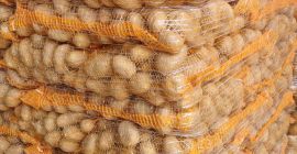 Sprzedam ziemniaki Gala 45+, nadają się do mycia, pakujemy