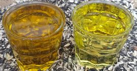 Sunflowerseed oil and sunflowerseed meal and cake from Ukraine