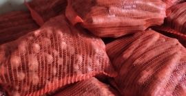 Witam mam na sprzedaż marchew w workach 10 zł