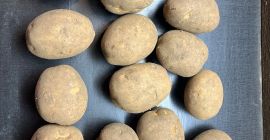 Sprzedam ziemniaki jadalne i frytkowe 10 odmian . Kaliber