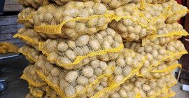 Ziemniaki jadalne Soraya. Marchew Pietruszka Buraczki Sprzedam ziemniaki jadalne