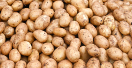 Fresh potatoes packed in Big Bax or on request.