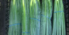 Sprzedam szczypior sałatkowy, kraj pochodzenia Egipt.