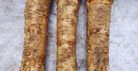 Sprzedam chrzan mieszany 6-700 kg.