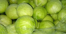 Sprzedam Kapustę Białą i kapustę czerwoną 1-3 kg opakowanie