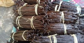 Świeże laski wanilii (odmiana Bourbon) z Ugandy. Dowolne ilości.