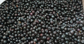 IQF Frozen Strawberries & Blueberries Origin: Belarus We offer