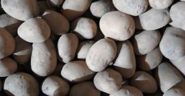 Sprzedam ziemniaki jadalne jak na zdjęciach. Odmiana to Owacja.