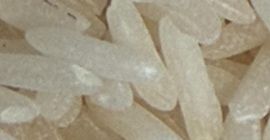 Długi biały ryż. Pochodzenie: Surinam (region Karaibów). Ten wysokiej