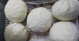 Sprzedam 10 ton kapusty białej: 7t odmiany Impela oraz