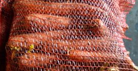 Sprzedam marchew niemyta/myta kal 2,5-4 worek szyty/bb/luz ilości tirowe