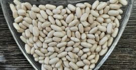 Sprzedamy. Fasola biała ALUBIA Ilość 22 ton Rok zbiorów