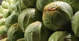 Sprzedam kapustę białą odmiany Zenon, kal 1-3. Kapusta ładna,