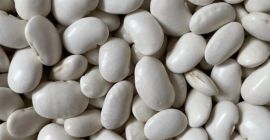 Sprzedam FASOLĘ JAŚ w rozmiarze 85-90 oraz 100-120. Towar