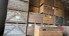 Sprzedam ziemniaki: ROOSTER MARKIES LADY ALICE LADY JANE Dostępna