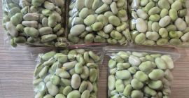Świeży bób – sprzedaż detaliczna i hurtowa w dużych