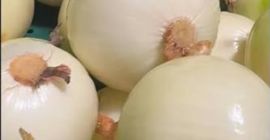 Cebula obrana sprzedaż Hurt detal Przeznaczenie Market Chłodnia Przetwórstwo