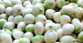 Sprzedam cebulę obraną.Nawiąże współpracę z odbiorcami.Cebula biała. Ilość 5