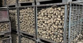 Witam, mam do sprzedania ziemniaki jadalne: - odmiana: Lord,