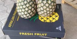 Świeże ananasy z Beninu, odmiany Pain de Sucre i