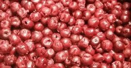 Wiśnie drylowane IQF odmiany Oblacinska produkowane są ze starannie