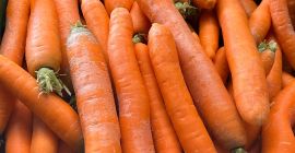 Nawiąże współprace z importerami lub producentami marchwi i cebuli