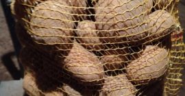 Sprzedam ziemniaki jadalne VINETA żółte, kal. 45+ mm, w