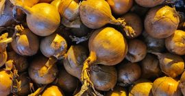 Sprzedam cebulę. Więcej informacji telefonicznie.[telefon]