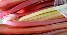 Sprzedam rabarbar wczesny gotowy do cięcia duże ilości sprzedaż