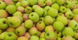 Sprzedam Goldena za wagę w skrzyni. Ilość 95 skrzyn