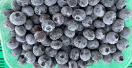 Sprzedam mrożoną borówkę amerykańską. Towar cały bez uszkodzeń. tel