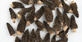 Organiczne suszone smardze - opakowanie 100 g - 49,99