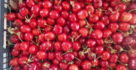 W;; FIA GOGOT FRUIT;; ZNAJDZIESZ NAJŚWIEŻSZE OWOCE SEZONOWE, NAJWYŻSZEJ