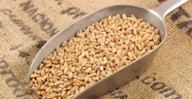 Better pricing available for quantities of 1,000 tons and