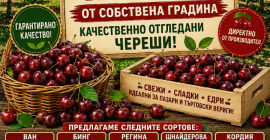 Обадете се за повече информация